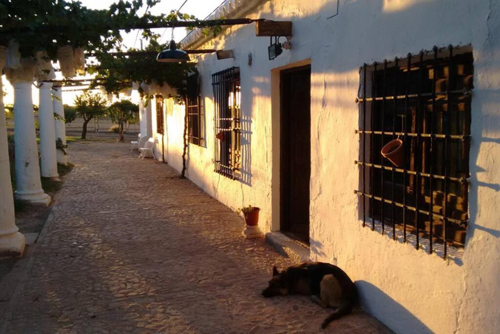 Casa El Carmen Villa Ciudad Real Luaran gambar