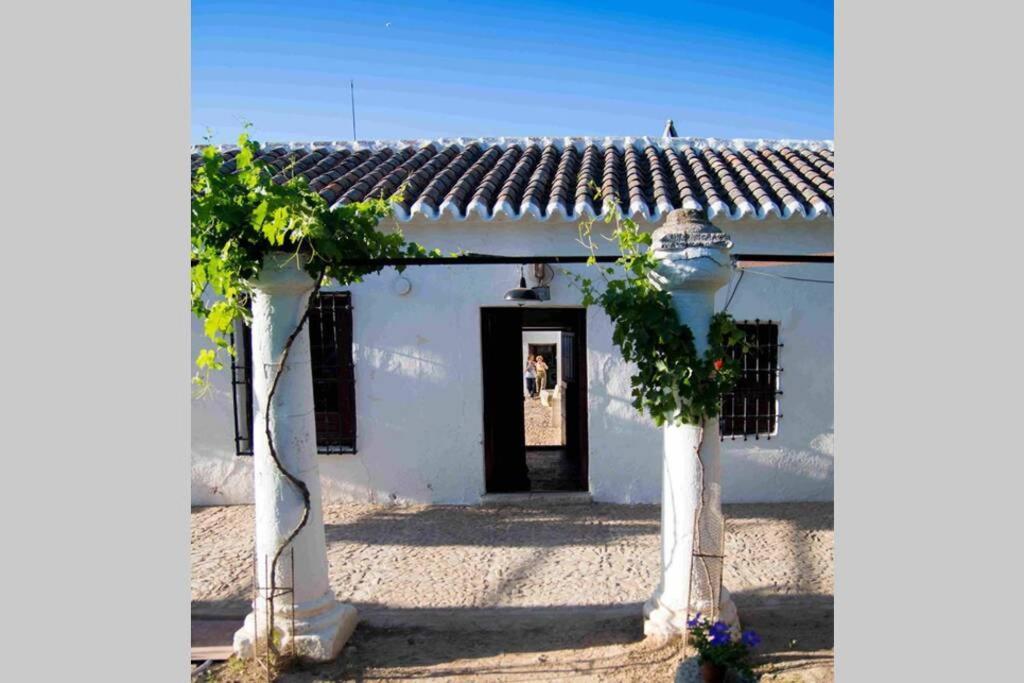 Casa El Carmen Villa Ciudad Real Luaran gambar