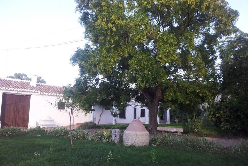 Casa El Carmen Villa Ciudad Real Luaran gambar